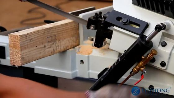 La coupe sciante en métal de la machine BS-712N de bande métallique a vu des machines